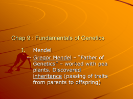 Chap 9/11 : Fundamentals of Genetics