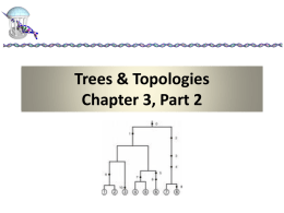 Trees & Topologies Chapter 3, Part 2