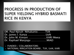 Progress in production of super yielding hybrid basmati rice