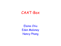 A CAAT–Box Binding Factor Gene That Regulates Seed Development