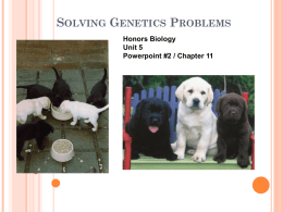 Solving Genetics Problems