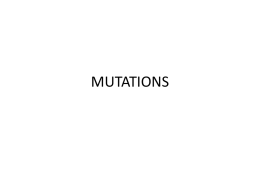 Mutations File