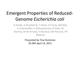Emergent Properties of Reduced-Genome