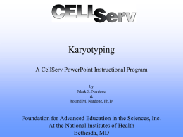 HeLa Cell Examination & Karyotyping