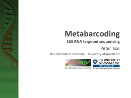 Metabarcoding - Bioinformatics Institute