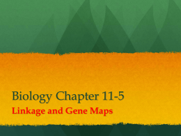 Biology Chapter 11-5 - Wayne County Public Schools