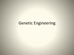 Genetics Biotech PREAP 2014