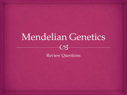 Mendelian Genetics REview