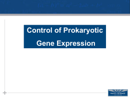 Gene Regulation Prokaryoperon_RD_MP