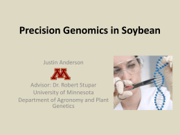 ZFN and mutagenesis in soybean