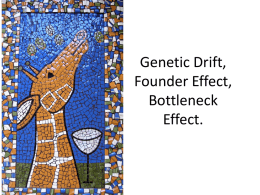 Genetic Drift, Founder Effect, Bottleneck Effect
