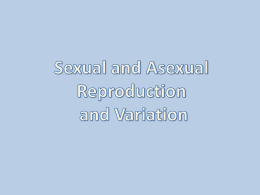 Sexual and Asexual Reproduction and Variation
