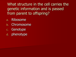 What structure in the cell carries the genetic information and is