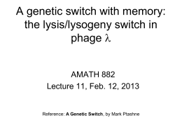 the lysis/lysogeny switch in phage \lambda