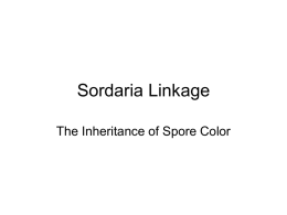 Sordaria Linkage