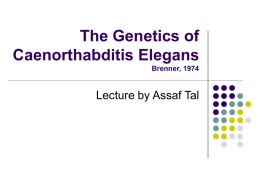 The Genetics of C elegans (Brenner)