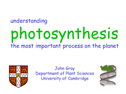 Understanding Photosynthesis - John Gray