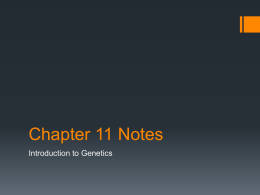 Chapter 8-extension (advanced notes on Mendelian Genetics)