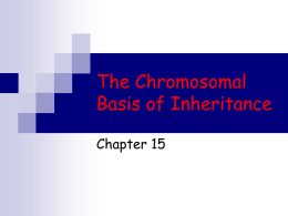 The Chromosomal Basis of Inheritance