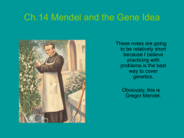 PowerPoint Presentation - Ch.14 Mendel and the Gene Idea
