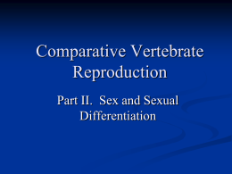Part II. Sex and Sexual Differentiation
