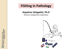 FISH – Technical Considerations - San Antonio Society of Pathologists