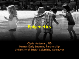 Presentation on Epigenetics - UBC Blogs