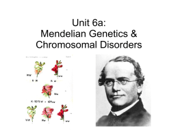 Unit 6: Mendelian Genetics