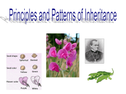 Principles & Patterns of inheritance ppt