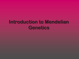 mendelian genetics powerpoint 2013
