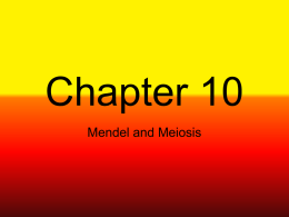 Chapter 10!