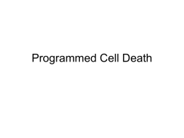 Programmed Cell Death