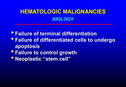 Overview of hematologic malignancies