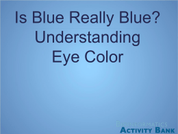 Eye Color PPT