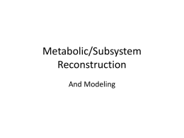 Metabolic/Subsystem Reconstruction