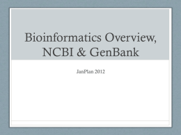 Bioinformatics Overview, NCBI & GenBank
