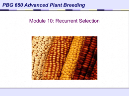 Recurrent Selection - Crop and Soil Science