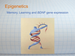 Epigenetics - Current Issues in Human Genetics