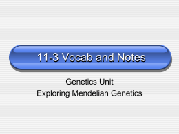 Genetics Notes C