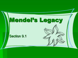 Mendel`s Legacy
