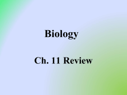 Biology_Ch._11