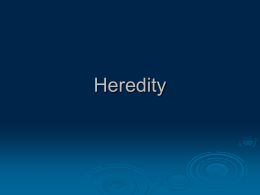 Heredity & Evolution