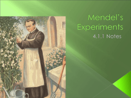 Mendel`s Experiments
