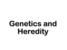 GeneticsandHeredity - Winston Knoll Collegiate