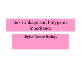 Chapter-12-Sex-Linkage-and-Polygenic-Inheritance