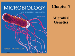 Chap 7 Microbial Genetics Fall 2012