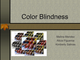 Color Blindness powerpoint
