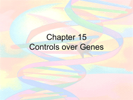 Chapter 15 Controls over Genes