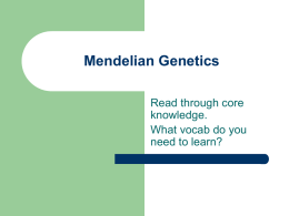 Mendelian Genetics