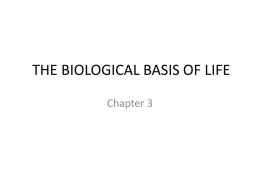 THE BIOLOGICAL BASIS OF LIFE